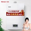 林内（Rinnai）16升 经典恒温 防冻 燃气热水器 天然气 RUS-16QD03（JSQ31-D03）家电*  JD 商品缩略图0