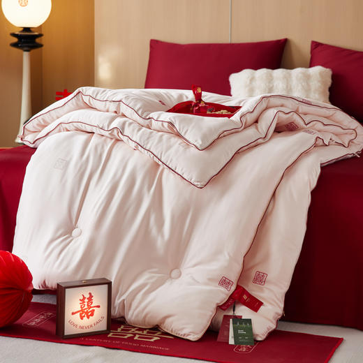 自然醒剪花蚕丝蛋白喜嫁被轻奢结婚庆喜被春秋被芯陪嫁喜字加厚冬被芯TD 商品图5