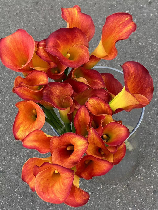 国产花材-【马蹄莲】橙色 商品图2