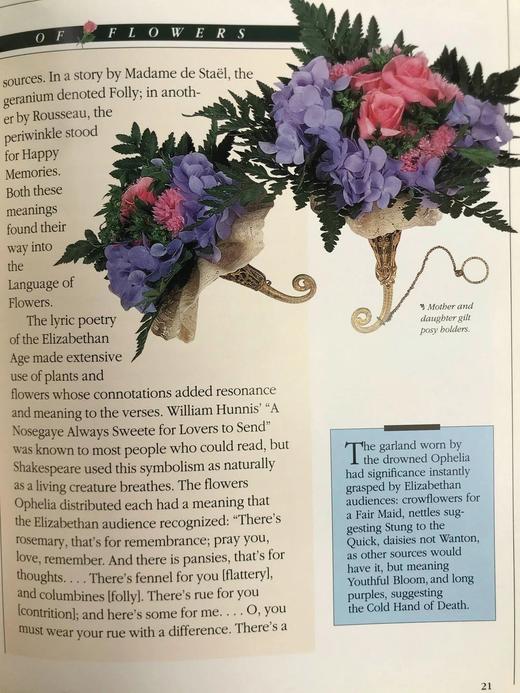 维多利亚小花束艺术图集 数百幅彩色插图 精装18开 商品图13