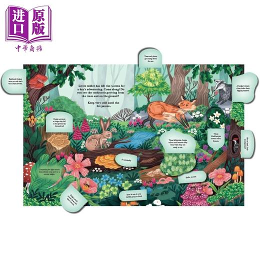 【中商原版】林地冒险 Kaja Kajfez Woodland Adventure Hide and Find in the Forest 英文原版 儿童科普绘本 自然科学翻页书 商品图1