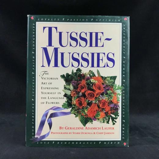 维多利亚小花束艺术图集 数百幅彩色插图 精装18开 商品图0