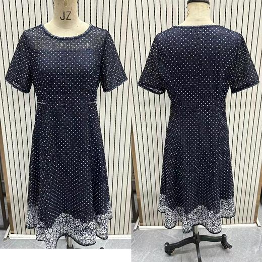 HJ1S70_花青色_连衣裙_夏季_简约大方圆领波点网纱短袖收腰下摆花卉印花_高级女装_BERNIEELEN 伯妮斯茵 商品图0