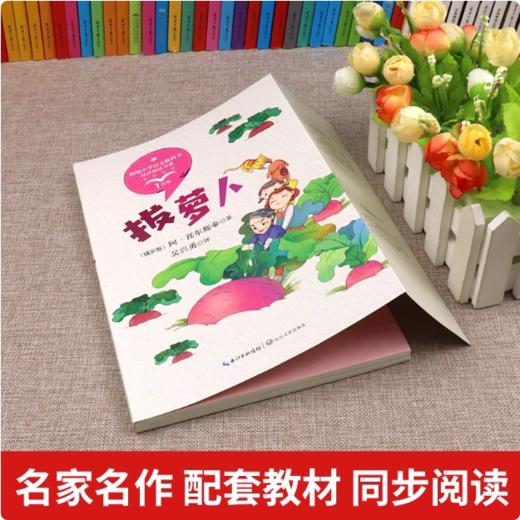 一年级阅读课外书必读全套9册注音版 拔萝卜 大海的项链 四季 青蛙写诗 猴子捞月亮 雪地里的画家 人教版老师推荐教材配套 商品图1