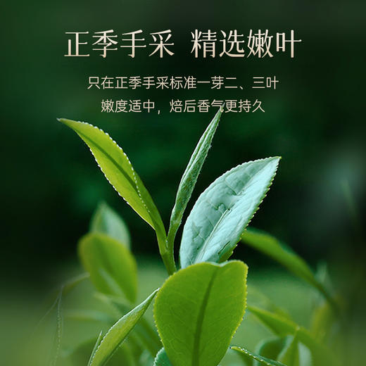 华祥苑-星时光250g特级肉桂礼盒 商品图4