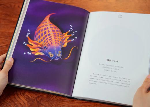 《山海经》（精装）（焕彩光华版）附赠：740mm长的神怪别册 商品图4