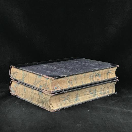 约19世纪后期 韦氏改进英语大辞典（全2卷） 数十页精美版画插图 真皮精装16开 商品图1