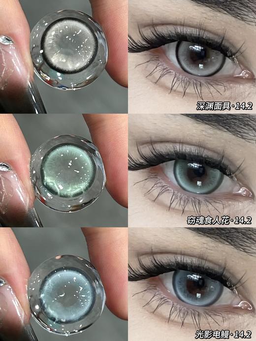 Jellydoll半年抛 深渊面具/窃魂食人花/光影电鳗 14.2mm 灰蓝绿 商品图1