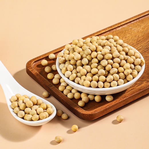 袋鼠小布精选黑龙江黄豆660g罐装 商品图4