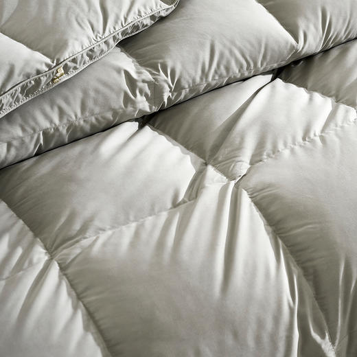 【爆】【6F】富安娜A类蓄暖鹅绒四季被伊尔顿，吊牌价9800~10800，三八爆品活动价3999，赠送1500元线下厅内无门槛现金抵用, 商品图2