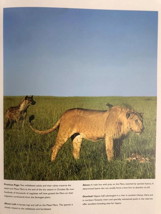 非洲动物王国图集 数百幅彩色插图 平装大16开 商品图8