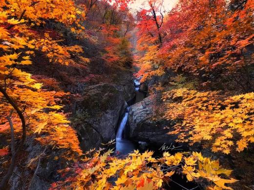 10月6日 辽宁·本溪红叶、大石湖、关门山、老边沟、盘锦红海滩6天摄影 商品图12