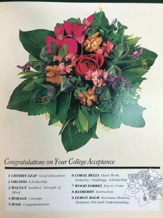 维多利亚小花束艺术图集 数百幅彩色插图 精装18开 商品图6