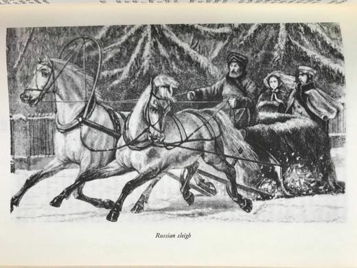 托尔斯泰《安娜·卡列尼娜》（全2卷） 约20余幅插图 苍鹭出版社（HeronBooks）复古仿皮精装本 商品图10