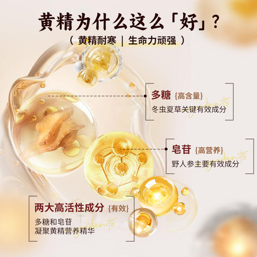 九蒸九晒黄精茶 恪守古法 柴火汽蒸 温而不燥 商品图2