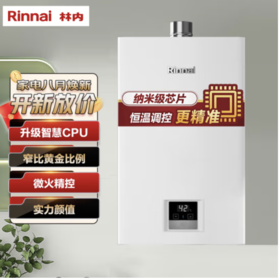 林内（Rinnai）16升燃气热水器  燃气热水器 天然气 RUS-16QD03（JSQ31-D03）家电*  JD
