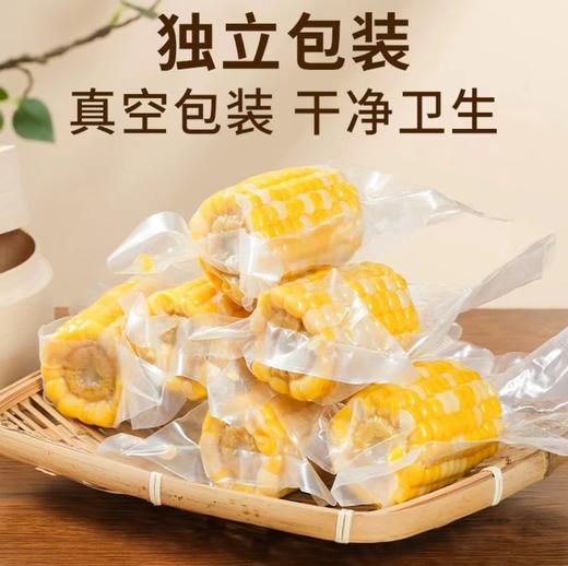 耘湄优品 澜沧水果玉米 2kg彩盒装 商品图3