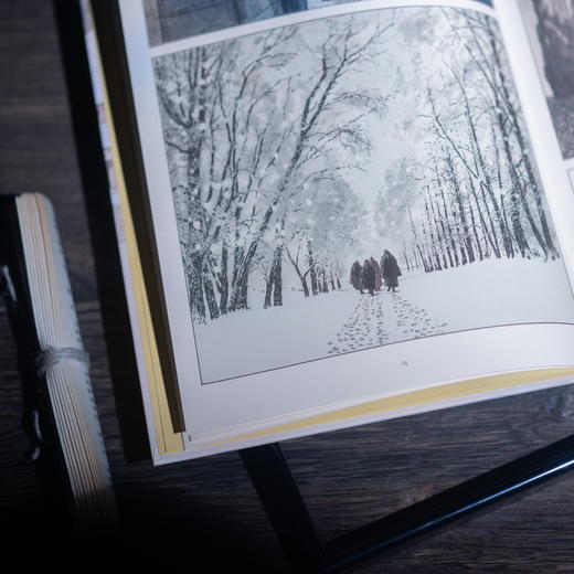 玫瑰的名字:图像小说(上) [意]翁贝托·埃科 著 米洛·马纳拉 绘 陈英 译 古典推理 密码型推理小说始祖 中世纪 绚丽插图 上海译文出版社 正版 商品图3