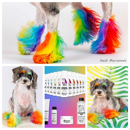 宠物持久染色剂--小瓶套装 OPAWZ小爪印 商品图7