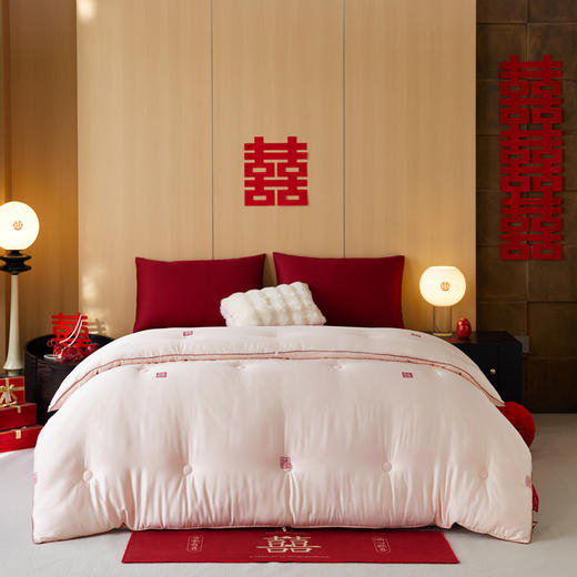 自然醒剪花蚕丝蛋白喜嫁被轻奢结婚庆喜被春秋被芯陪嫁喜字加厚冬被芯TD 商品图1