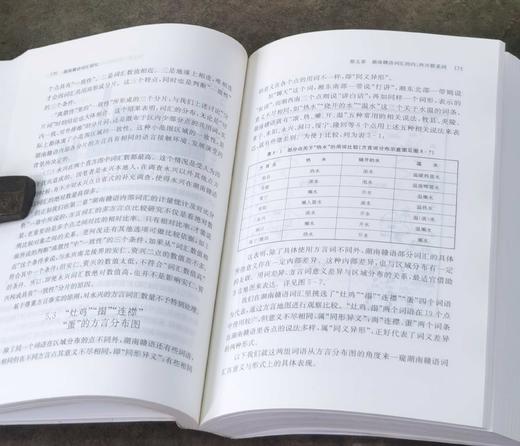 《湖南赣语词汇研究》，32开平装，代少若著，中西书局2020年一版一印，598页，定价85元，售价：38元，品相95成。 商品图11