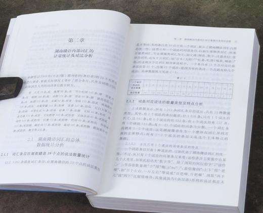 《湖南赣语词汇研究》，32开平装，代少若著，中西书局2020年一版一印，598页，定价85元，售价：38元，品相95成。 商品图8