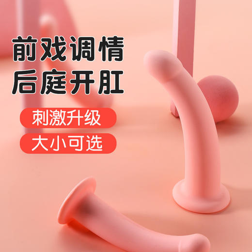 【谜姬】粉嫩恋人阳具手动女用女抽插自慰器假阳具成人情趣用品 商品图3
