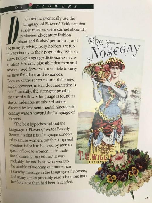 维多利亚小花束艺术图集 数百幅彩色插图 精装18开 商品图12