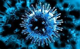 传染性约是流感的2.5倍，一图为您读懂呼吸道合胞病毒