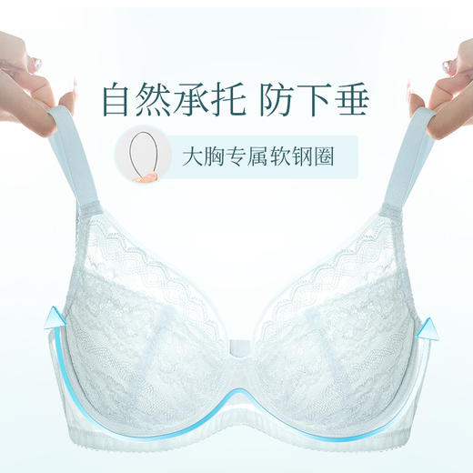 [普罗旺斯]大胸显小法式全罩杯蕾丝夏季超薄款聚拢文胸 商品图3