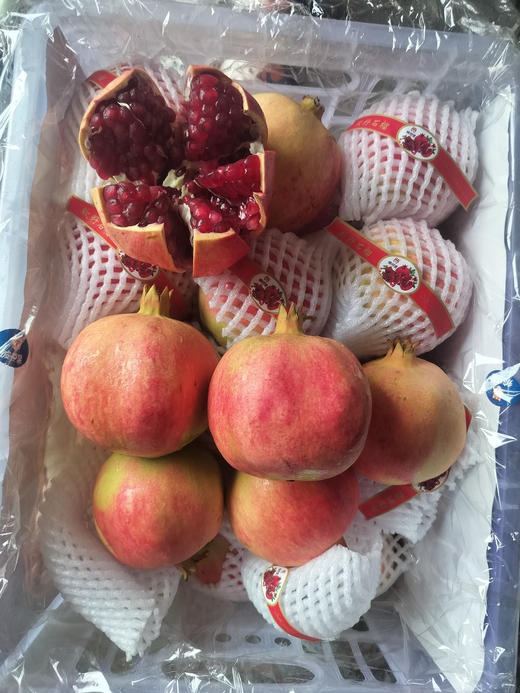 品牌四川突尼斯软籽石榴 商品图1