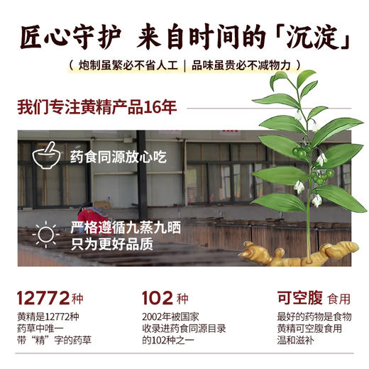 九蒸九晒黄精茶 恪守古法 柴火汽蒸 温而不燥 商品图4