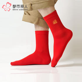 都市丽人都市锋尚中筒袜简约系列精梳棉袜子男袜子FCTDF3