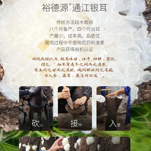 润耳通江银耳面膜极简白润耳通江银耳原液精华水 12个月套装每月发货 商品图1