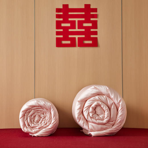 自然醒剪花蚕丝蛋白喜嫁被轻奢结婚庆喜被春秋被芯陪嫁喜字加厚冬被芯TD 商品图13