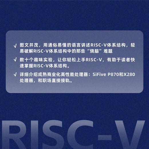 RISC-V体系结构编程与实践（第2版） RISC-V开发计算机网络编程开发书编程语言程序设计书籍 商品图1