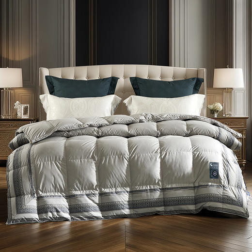 【爆】【6F】富安娜A类蓄暖鹅绒四季被伊尔顿，吊牌价9800~10800，三八爆品活动价3999，赠送1500元线下厅内无门槛现金抵用, 商品图7