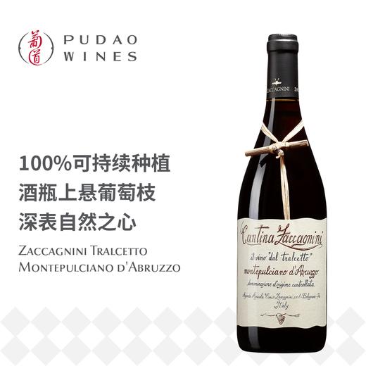 莎卡尼尼托切特蒙特普齐亚诺红葡萄酒 Zaccagnini Tralcetto Montepulciano d'Abruzzo 商品图0