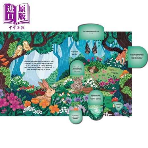 【中商原版】林地冒险 Kaja Kajfez Woodland Adventure Hide and Find in the Forest 英文原版 儿童科普绘本 自然科学翻页书 商品图2