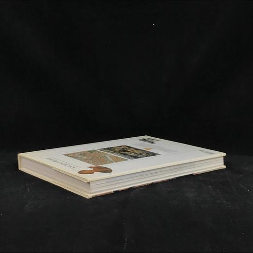 古罗马文明史（2004） 数百幅彩色插图 精装16开 商品图2