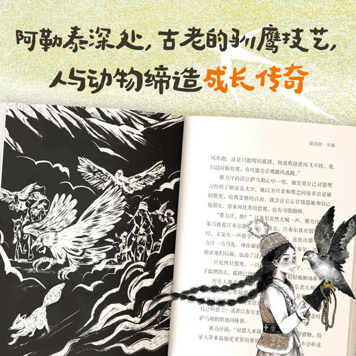 驯鹰女孩 商品图2