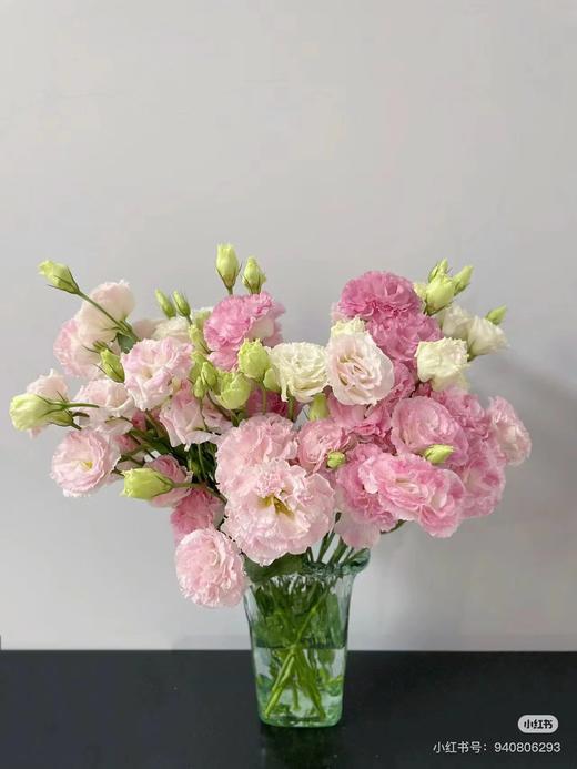 阳光冰淇淋桔梗一捆 商品图2