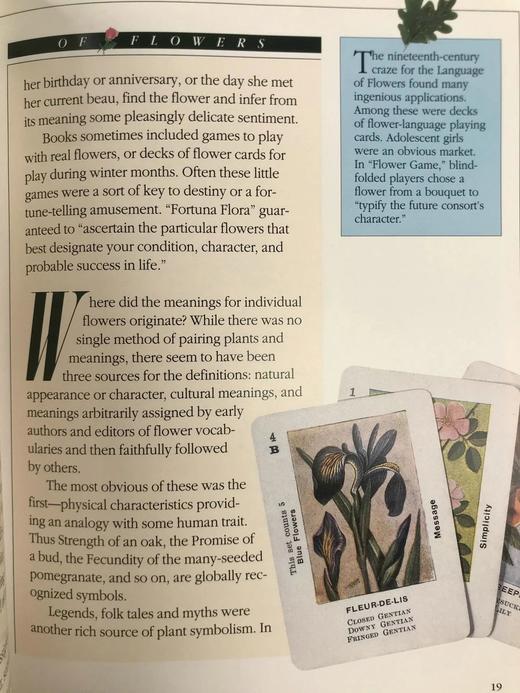 维多利亚小花束艺术图集 数百幅彩色插图 精装18开 商品图14