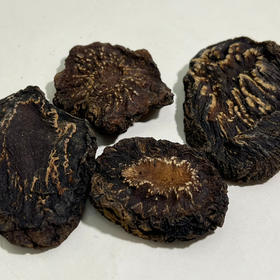 二象限油性肉苁蓉 野放种植 来自苍天般阿拉善（两年以上的品质）