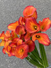 国产花材-【马蹄莲】橙色 商品缩略图1