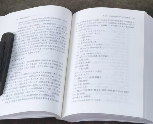 《湖南赣语词汇研究》，32开平装，代少若著，中西书局2020年一版一印，598页，定价85元，售价：38元，品相95成。 商品图10