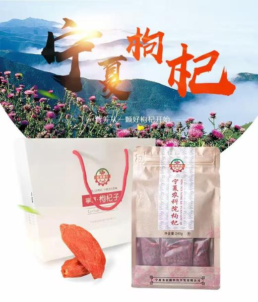 宁夏枸杞研究所出品 颗粒饱满 每袋240g 商品图4
