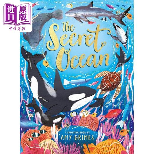 【中商原版】秘密海洋 Amy Grimes The Secret Ocean 英文原版 儿童科普绘本 知识百科图画书 自然探索书 精装 进口 5岁以上 商品图0
