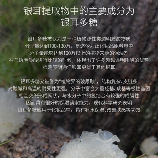 润耳通江银耳面膜极简白润耳通江银耳原液精华水 12个月套装每月发货 商品图2