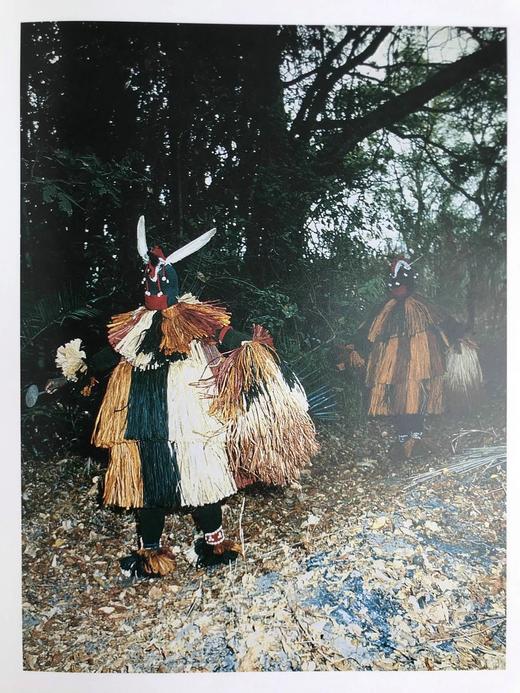 非洲舞蹈图集 160幅插图（80幅彩色） 精装大16开 商品图11